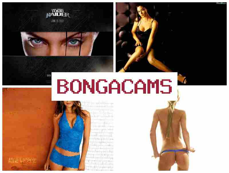 BONGA CAKS 🔵 Anal Sluts Humiliation & Real Porn