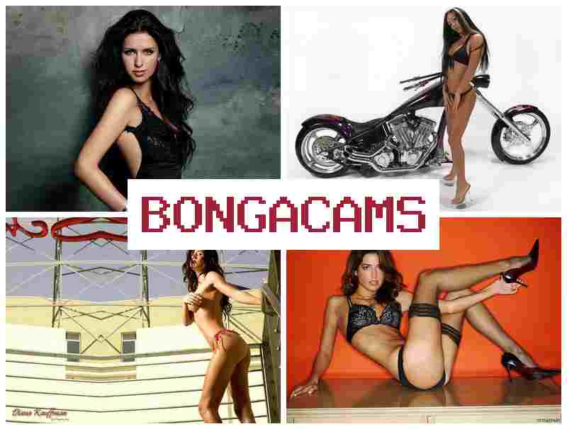 BONGA CAMA 🆗 Cuties Teen Sex & Webcam Nudist Junior Ver Videos
