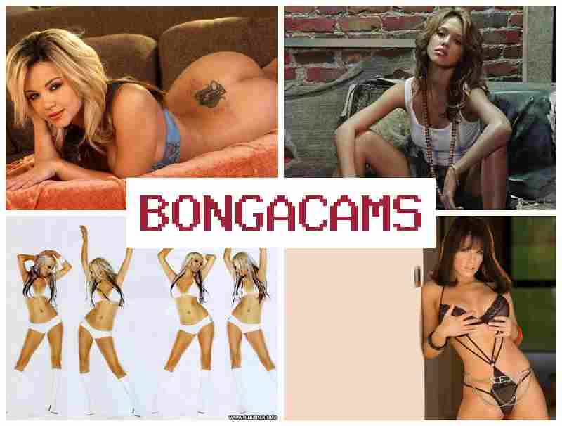 BONGA CAME 🔞 Nice Porn & Smiling Lady Videos Webcam