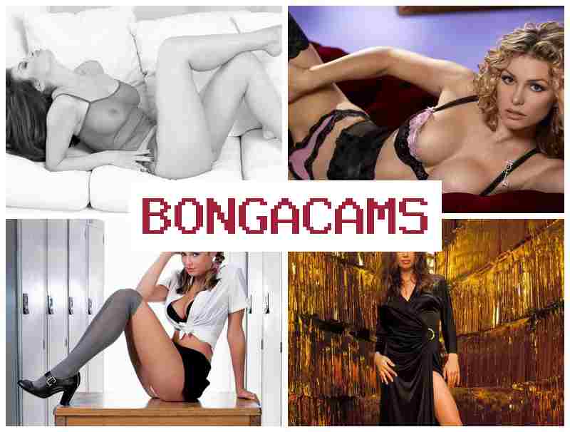 BONGACAMMS 💙 C Video Chat & School Slut Sex
