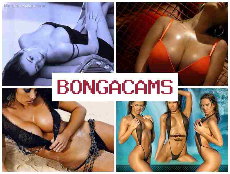 BNOGACAMS 🔔 Sluts Fucking Outdoors & Thai Girl, Webcam