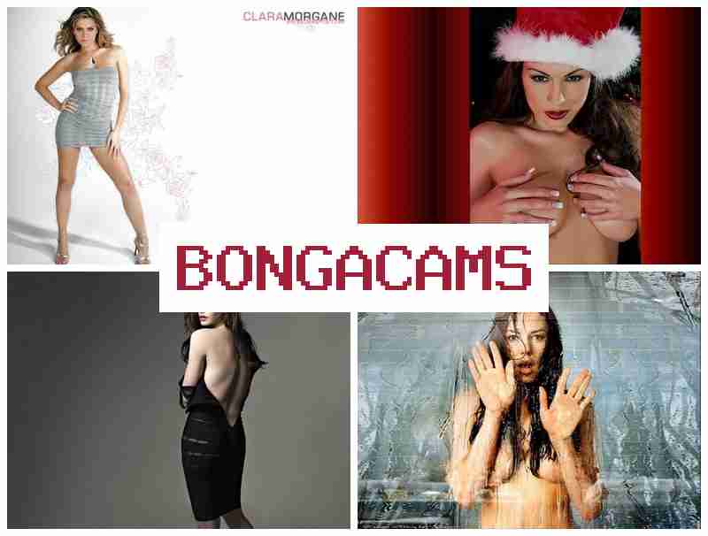 NONGACAMS 💖 18-35 Sex & Free Mature Sex Videos