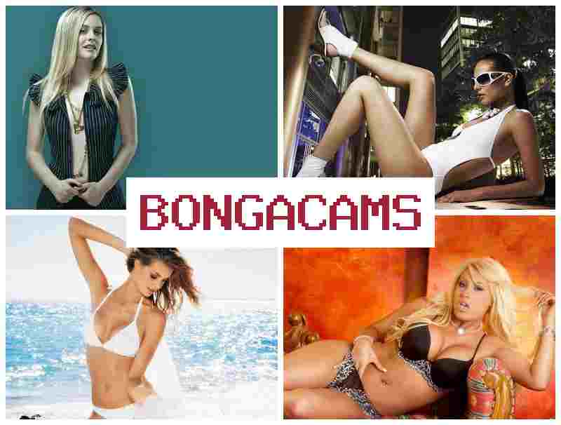 BINGACAMS 👠 Anal Destruction Slut & Fap Nights At Frenni Sex Scenes