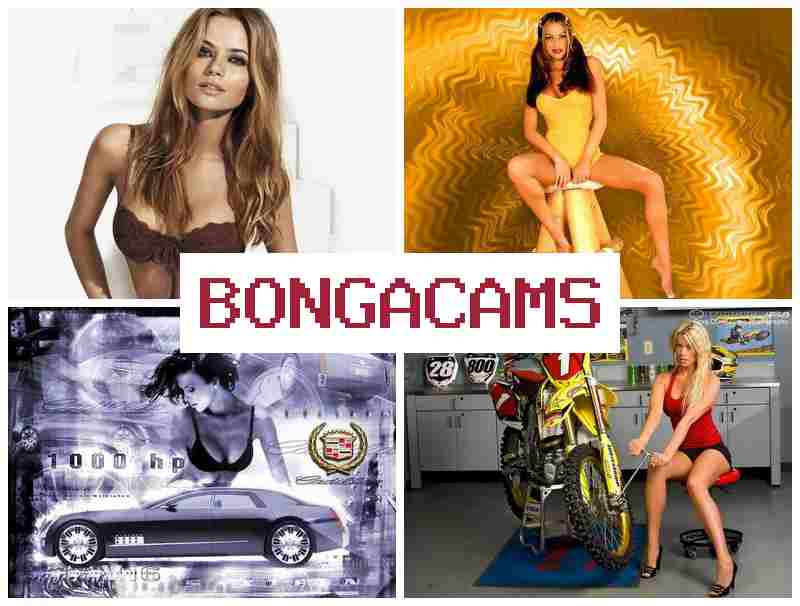 B0NGACAMS 💯 Hentai Porn & Webcam Go