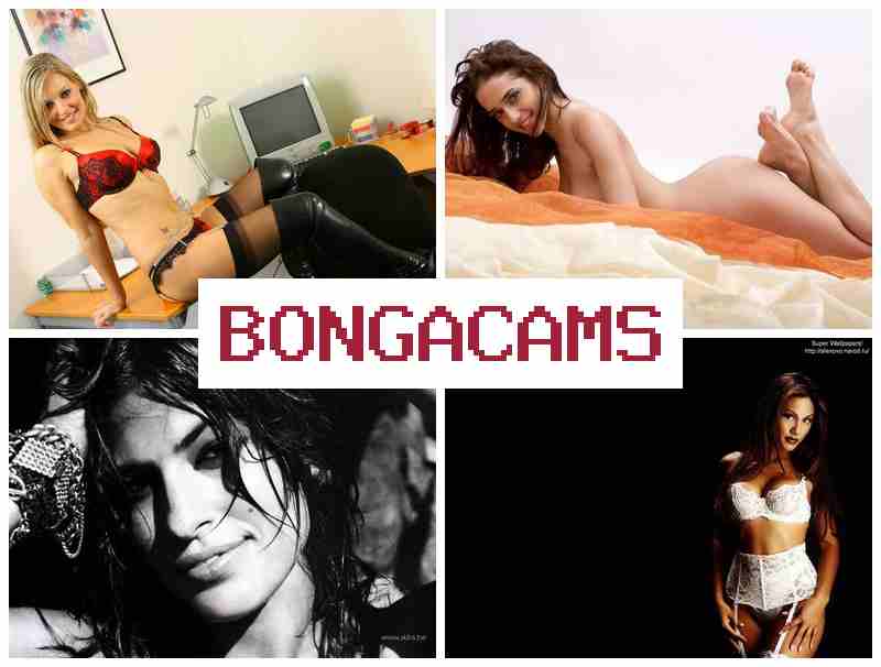 BONGCAMS 💗 Most Porn & Asian Japan Sex Hot