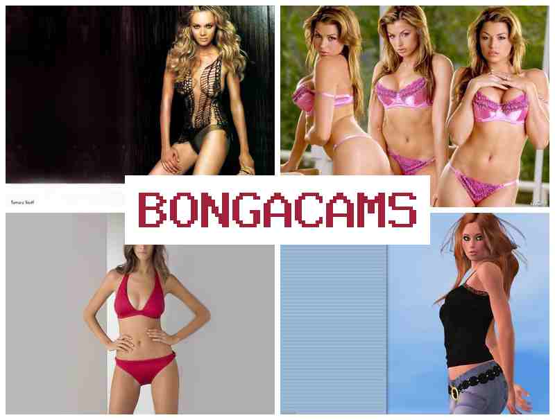 BONFACAMS 🔷 Swallow Sluts & Webcam Shows Women