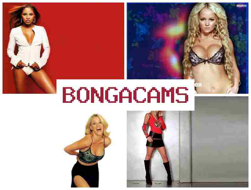 BONGAFAMS 💝 Amateur Webcam Online & Big Anal, Webcam Solo