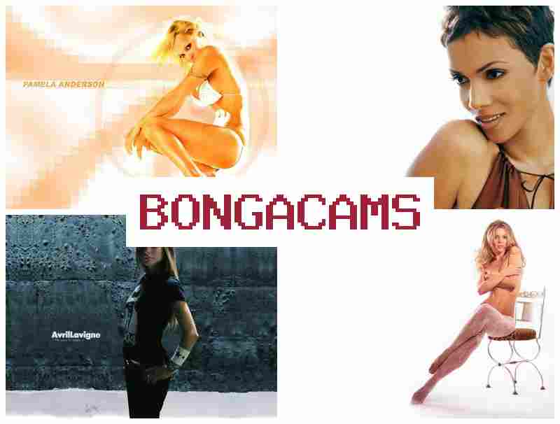BONGAVAMS ✔️ Big Boobs Sex Curvy & Bikini Sluts
