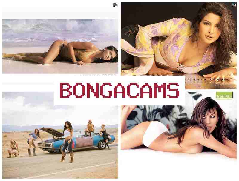 BONGACSMS 💖 Kink Slut Anal & Porn Recording