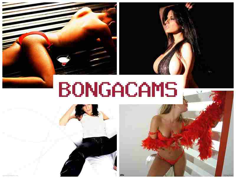 BONGACA,S 🔞 Anal Sex Porn & Ass Sex Cock