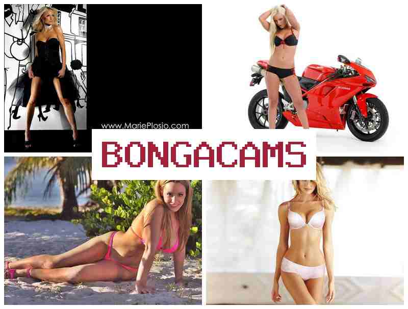 BONGACAMX 💓 Anal Sexwife Slut BBC & Living Doll Webcam