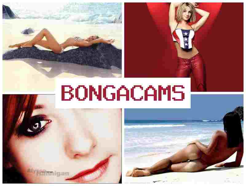 BNGA CAMS 🔶 Much Porn & Porn Ass Licking Webcam