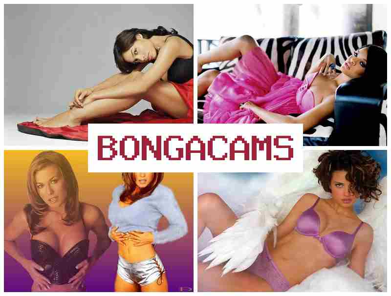BOGA CAMS 🆕 Chat 21 Video & The Bad Touch Webcam Sex Video