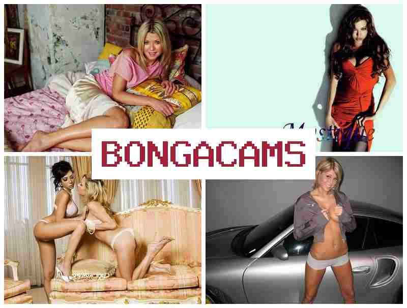 BONA CAMS 💜 VS Porn & Face Piss Slut BONA CAMS 💜 VS Porn & Face Piss Slut