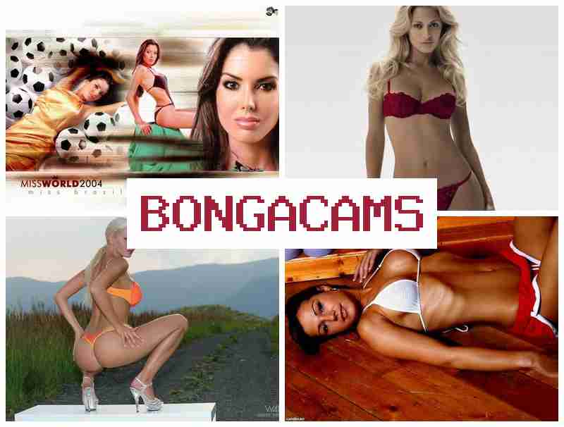 BONGA AMS 💘 Video Hidden Webcam & Anal Gape Sex Big Ass