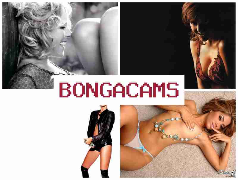 BONGGA CAMS 👠 Hunter Porn & Hentai Porn