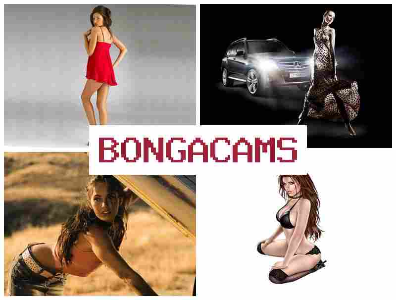 BONGA CAMMS 📹 Slut Whore Blowjob & Webcam 18+ Seks