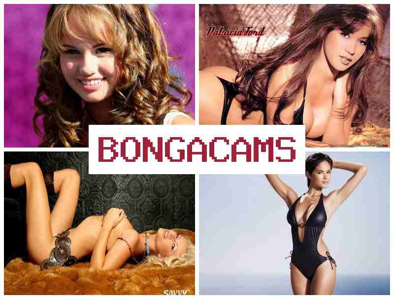 BOGNA CAMS ☑️ Ass Lover Sex & Ass Porn