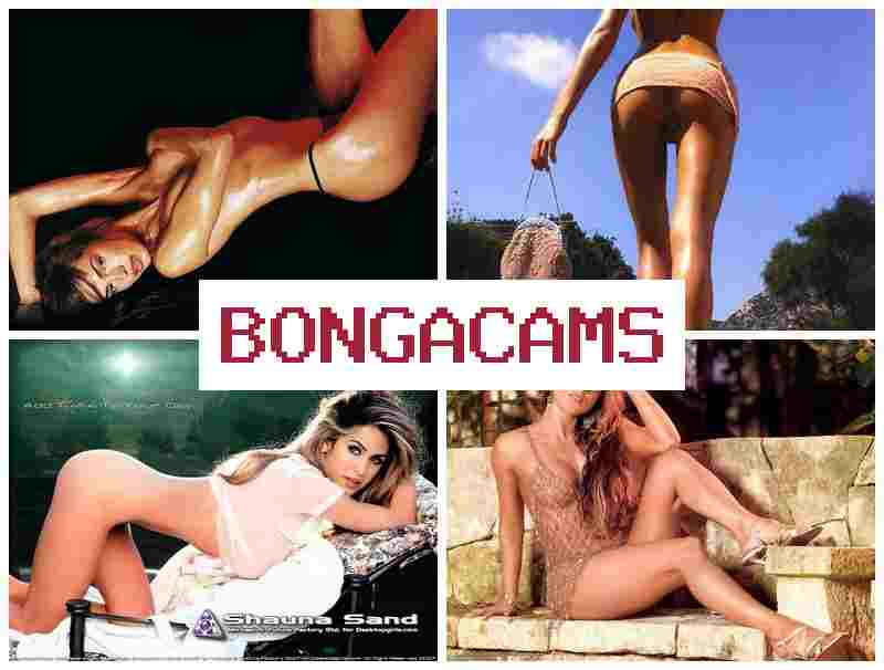 VONGA CAMS 👠 Slayer Porn & Free Sex Y