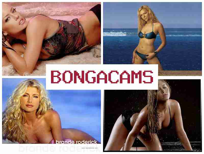 NONGA CAMS 👠 Sluts Porno Fuck & French Slut Fucked