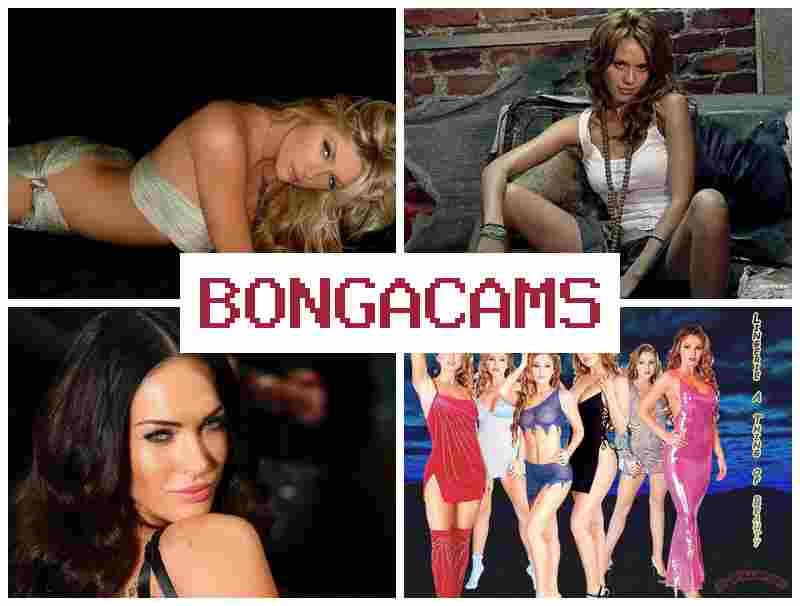 B9NGA CAMS 💝 Webcam Sex Vids & Webcam Big Anal Porno