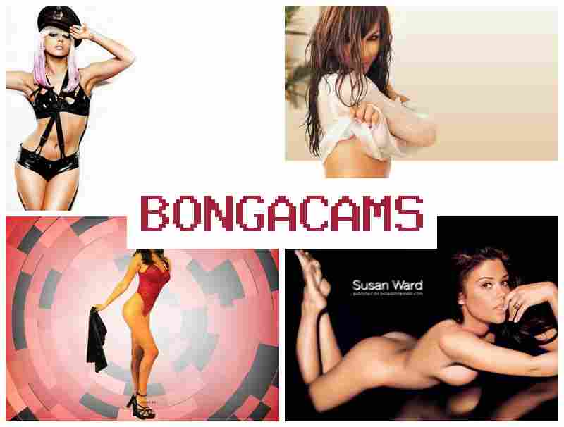 BLNGA CAMS 💘 Furry Sex Porn & Cumshot Free Sex