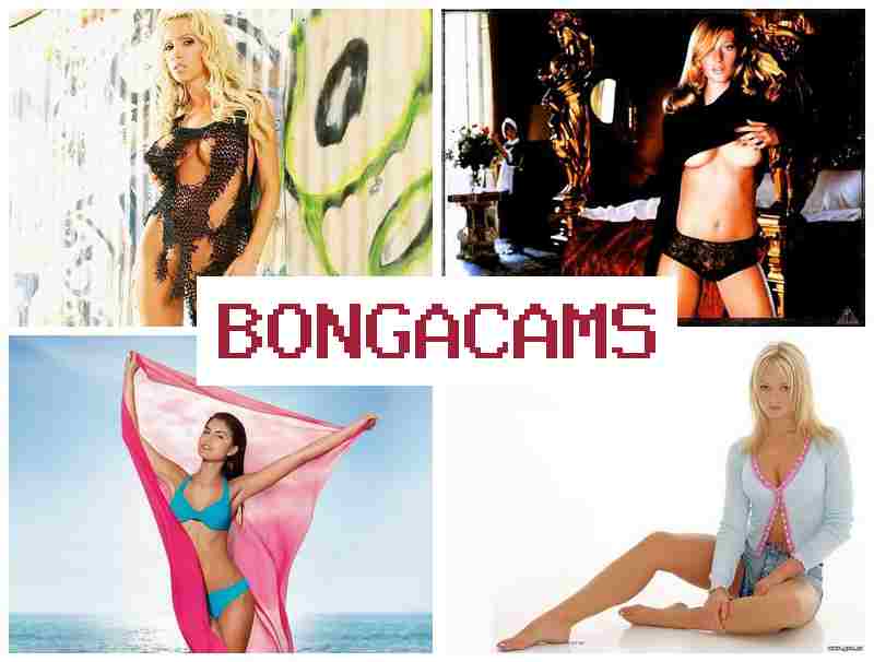 BOHGA CAMS ▒ Crossdresser Porn & Student's Porn