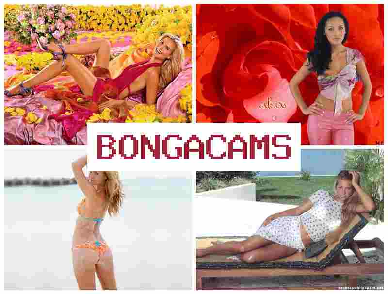 BONNGACAMS 💻 Teen Anal, Webcam & HD Sex Teens Porno