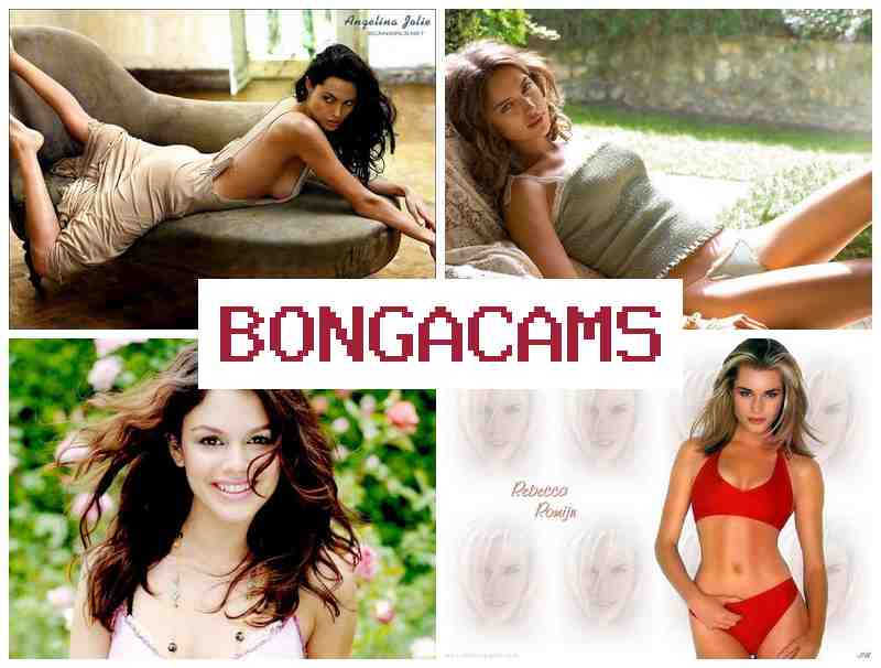 BONFA CAMS 💚 Tiny Webcam Forum & BBW Sex Plumper Milfs