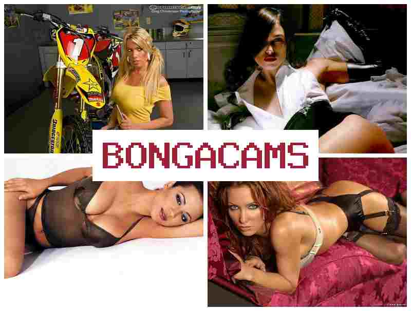 BONGA CAKS 🔷 Webcam Orgasm & Red Porn