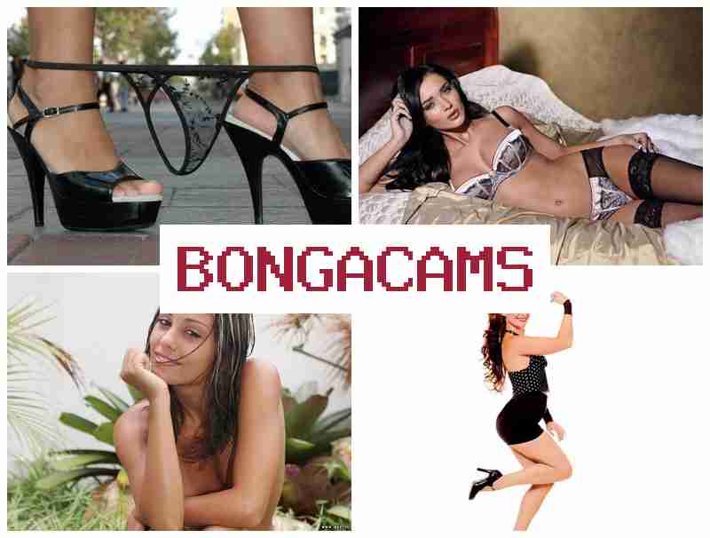 BONGA CAME ᐉ Free Heart Webcam & Drones Porn