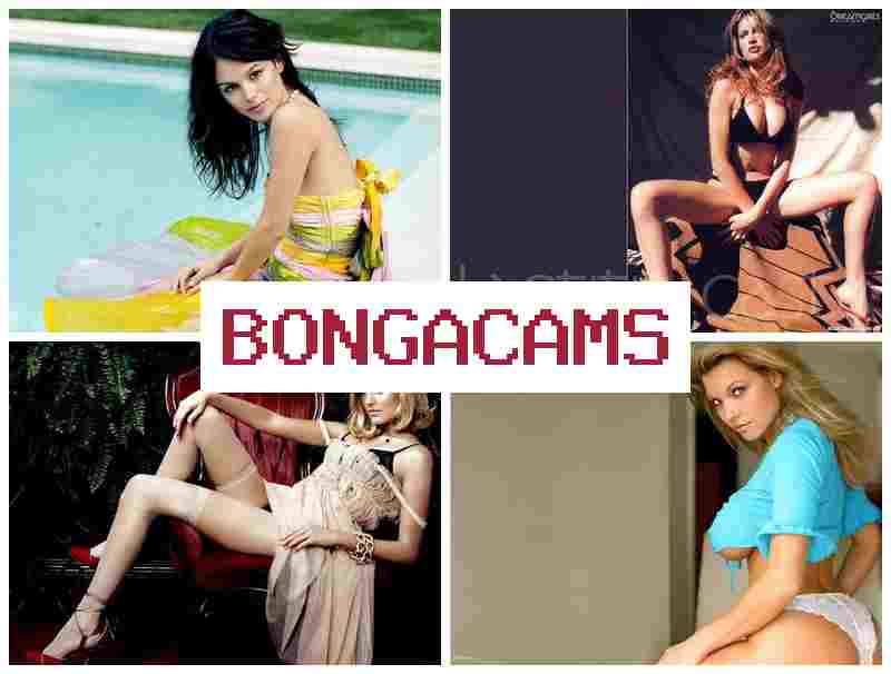 BONGA CAMZ 🔞 Big Dick Porn & Hottest Anal Sluts