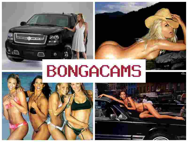 BOGNACAMS ▒ Much More Porn & Live Show Webcam Show XXX