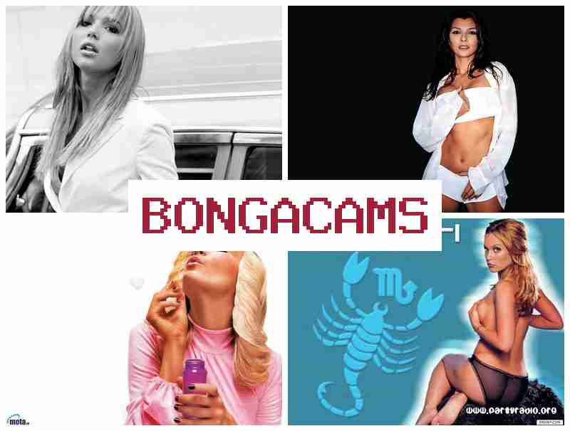 BOHGACAMS ✔️ Webcam Swap & Porn NL