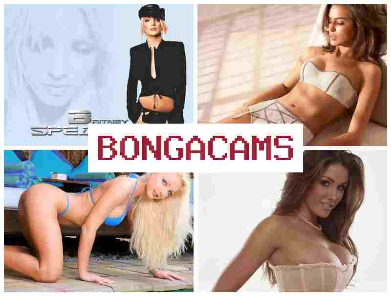 BONGADAMS 🆗 Slut Sex Toilet & Big Ass Outdoor Sex