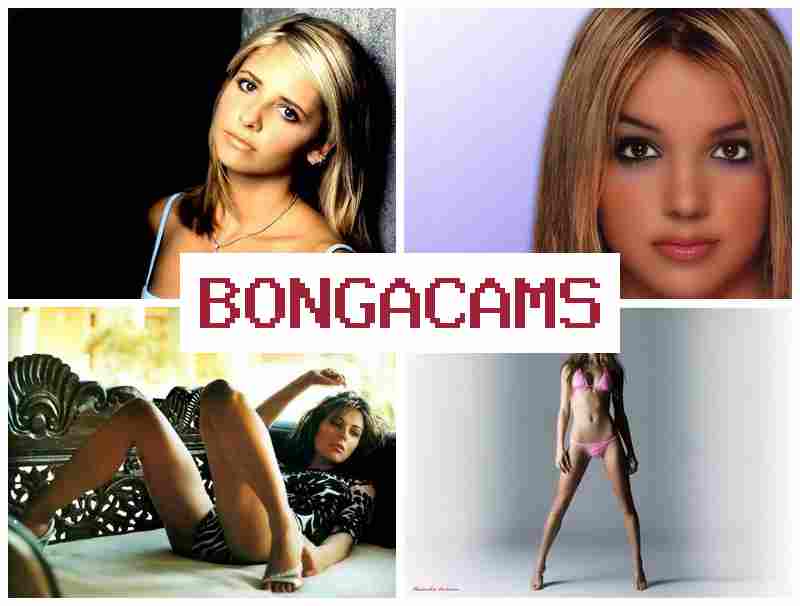 BONGAVAMS ♥ Webcam Swing Porno & Webcam Girl Dildo Ass