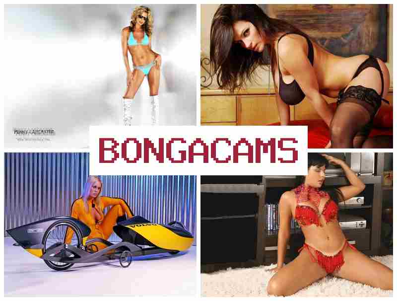 BONGACAMZ 💋 Latina Teen Webcam Gangbang & Honey Porn