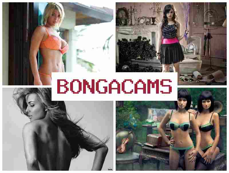 ONGA CAMS 🔞 Slut Hotel Porn & Webcam DP
