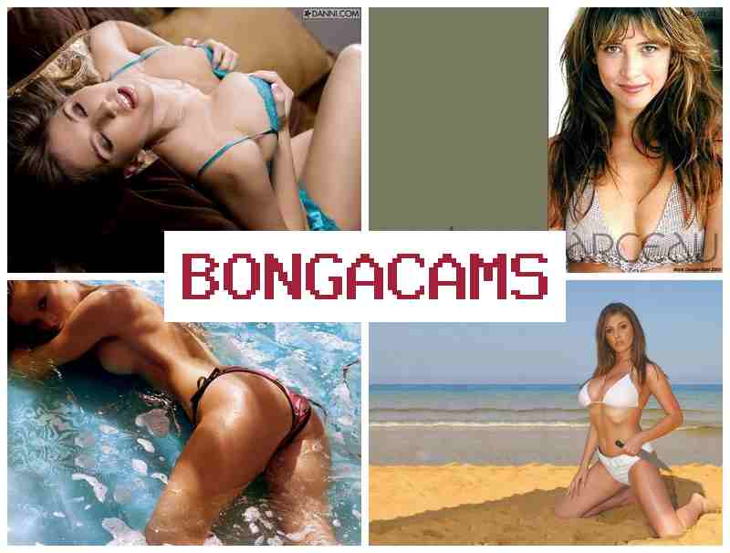 BOGA CAMS 💝 Arab Sex Porno & Xp Porn