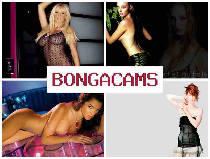 BONGA CAMMS 🆒 Slut Fuck Pics & Addictivet Webcam Video
