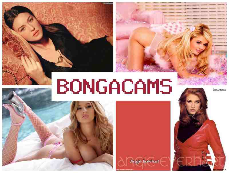 BBONGACAMS 🔻 First Webcam & Room Porn