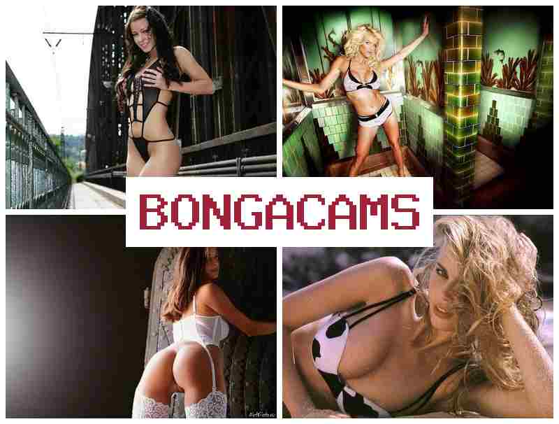 BONAG CAMS 💑 Webcam Porn Red & Anal Porno Webcams