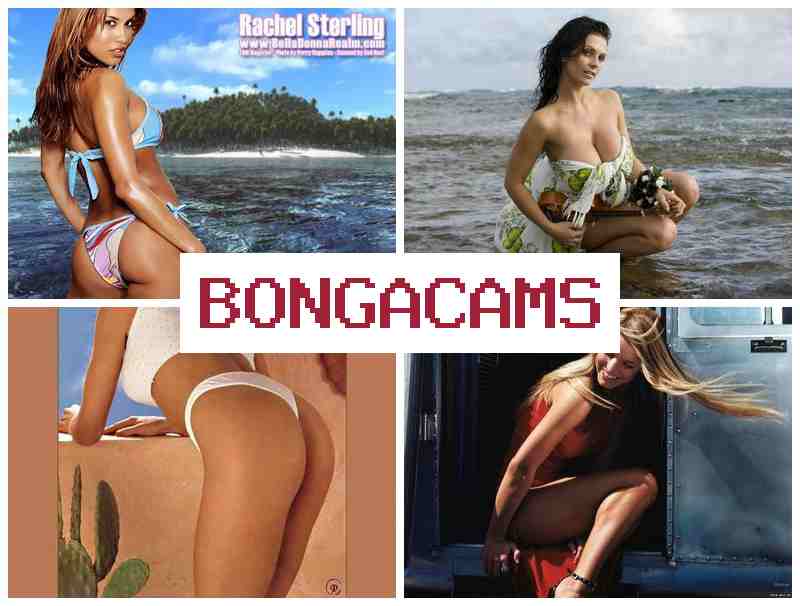 BONGAC AMS 🔻 18+ New Porno Sex & Church Live Streams Webcam