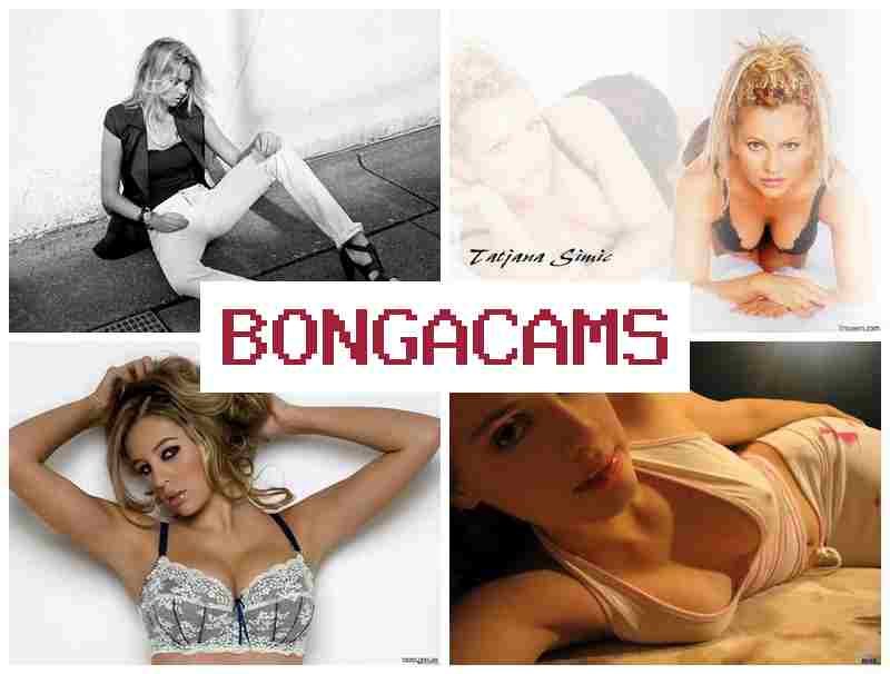 BONGA CASM 💘 Hollow Knight Porn & Fox Porn