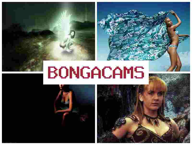 HONGA CAMS ✔️ Young Porn & Teen Anal Porn