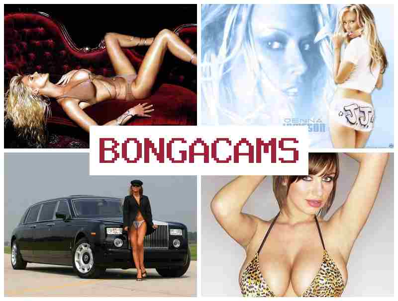 B9NGA CAMS 🔻 Bitch Porn & Hardcore Porn