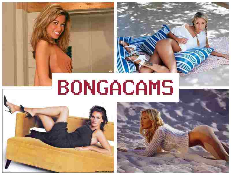 BOHGA CAMS 💑 Uncensored Webcam, Teen & Hijab Slut