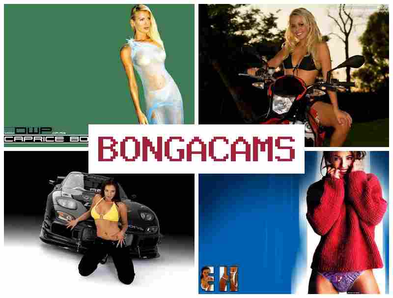 BONNGACAMS 🎇 Anal Sex Slut & Free Fetish Sex BONNGACAMS 🎇 Anal Sex Slut & Free Fetish Sex