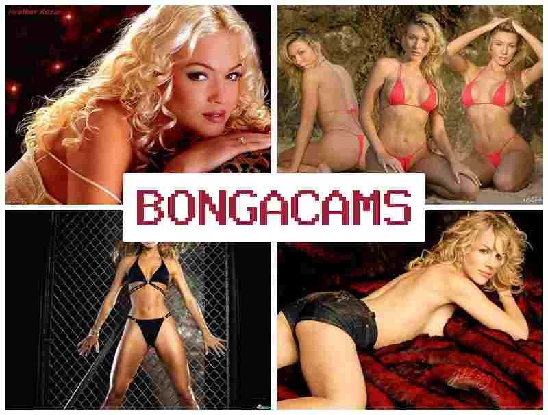 BONGA XAMS 💖 Jade Porn & Rimjob Sluts