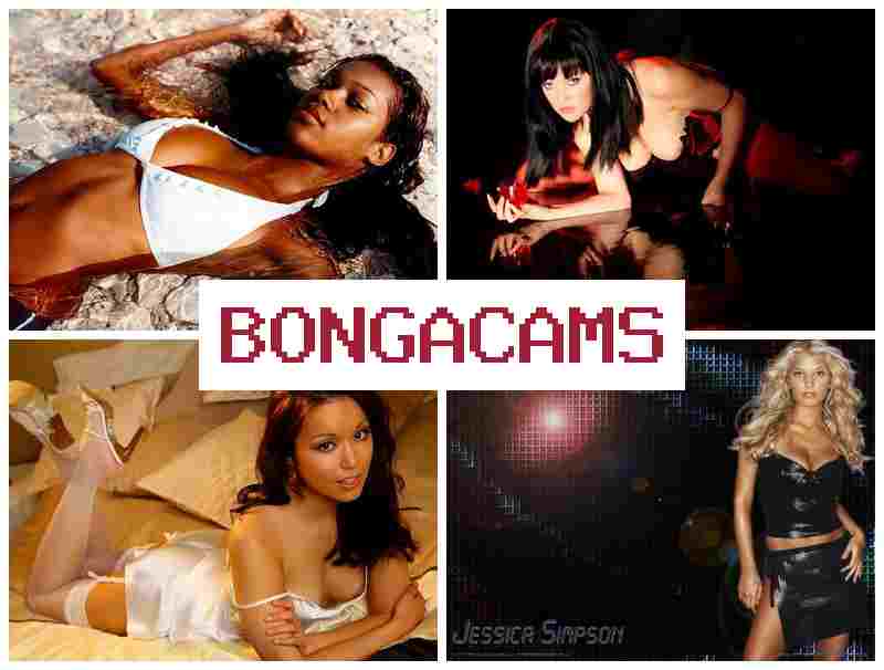 BONGA VAMS █ Dandy's World 18+ Sex & Breast Porn